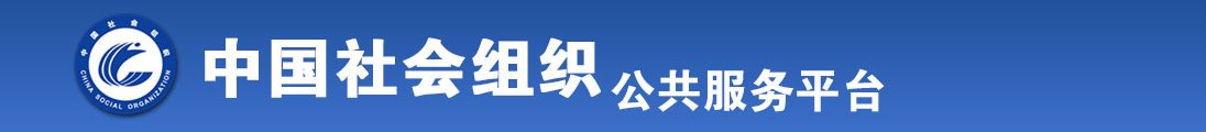 两个黑人的jj轮流插入yindao全国社会组织信息查询